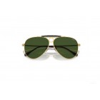 Sunglasses Polo Ralph Lauren PH 3149