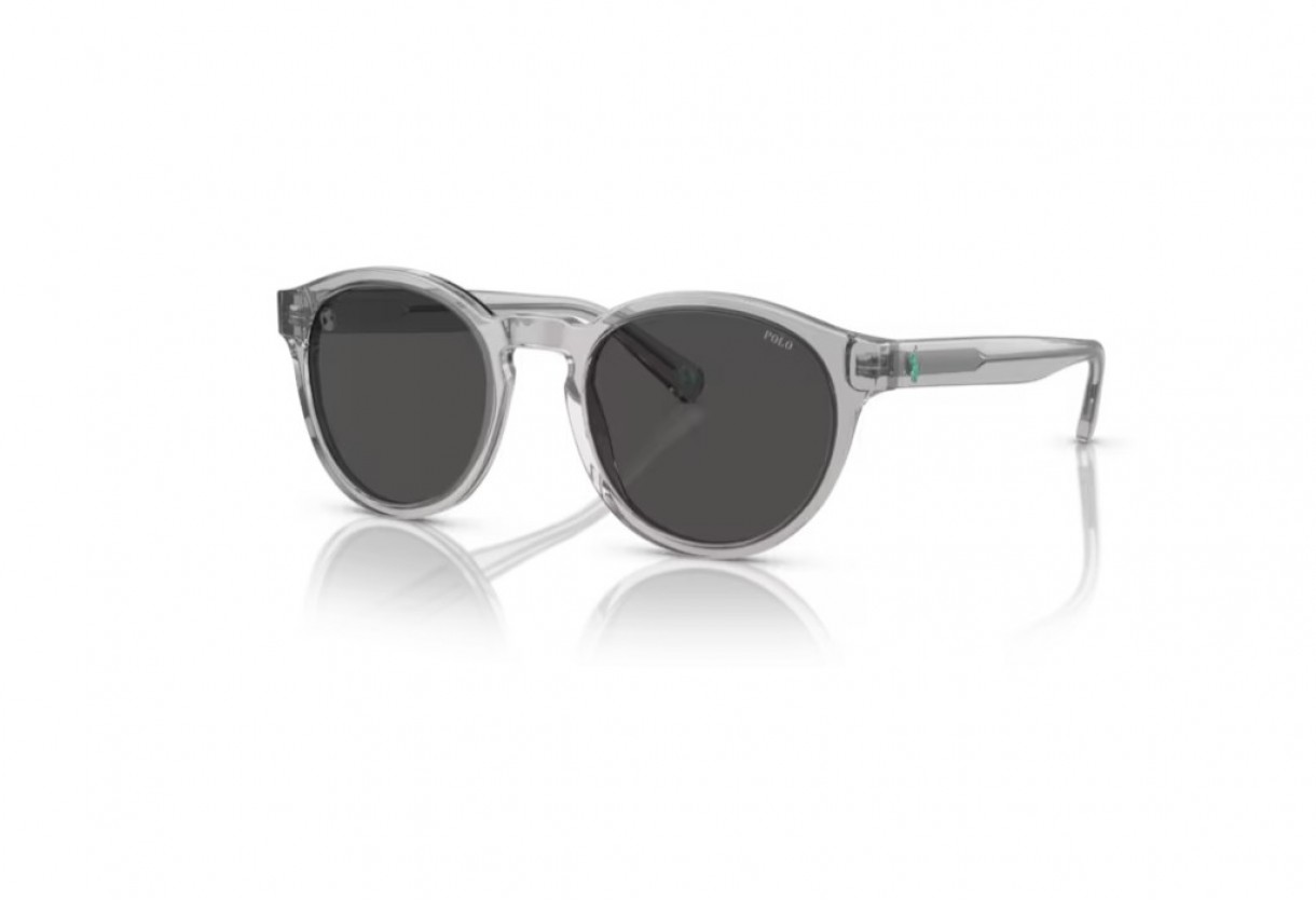 Sunglasses Polo Ralph Lauren PH 4192