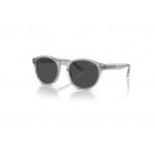 Sunglasses Polo Ralph Lauren PH 4192