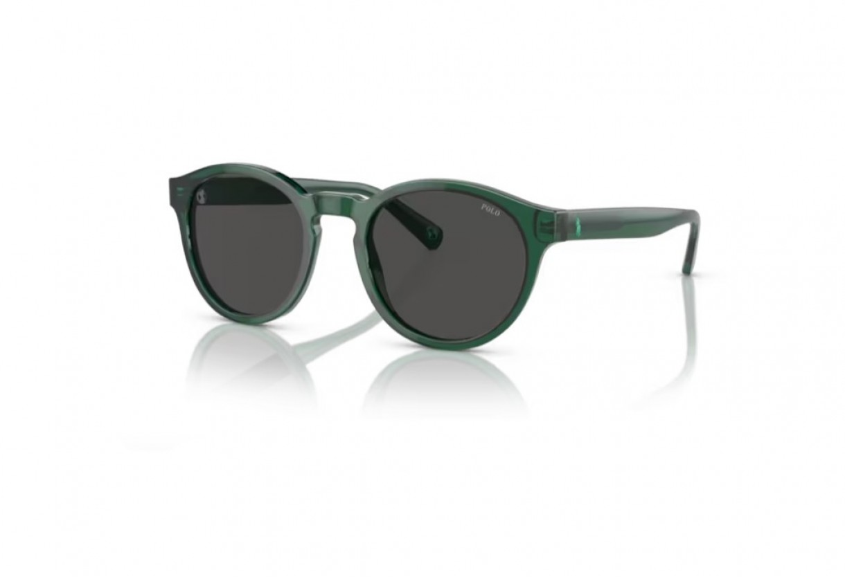 Sunglasses Polo Ralph Lauren PH 4192