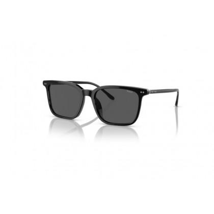 Sunglasses Polo Ralph Lauren PH 4194U