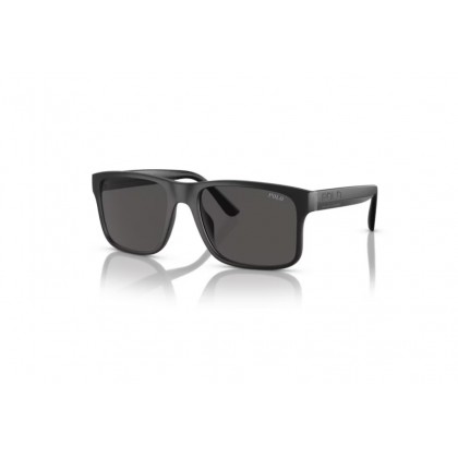 Sunglasses Polo Ralph Lauren PH 4195U