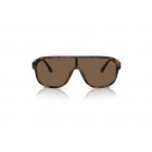 Sunglasses Polo Ralph Lauren PH 4196U