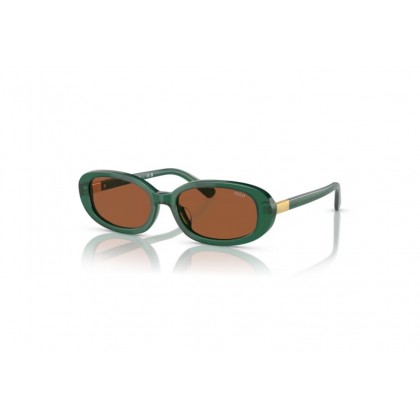 Sunglasses Polo Ralph Lauren PH 4198U