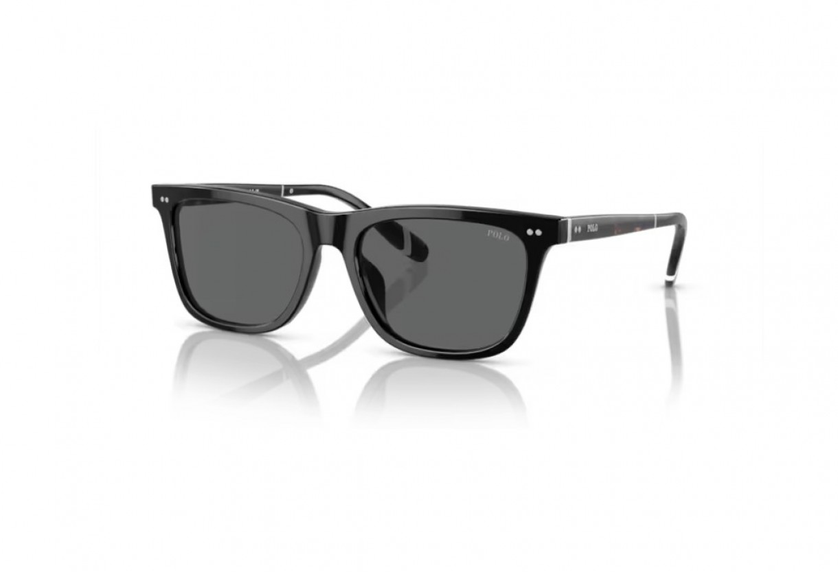 Sunglasses Polo Ralph Lauren PH 4205U