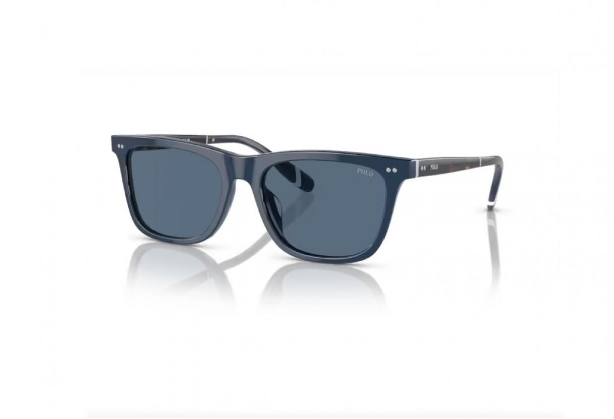 Sunglasses Polo Ralph Lauren PH 4205U