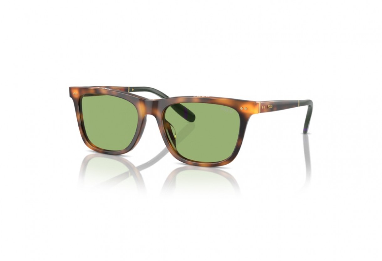 Sunglasses Polo Ralph Lauren PH 4205U