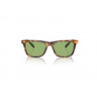 Sunglasses Polo Ralph Lauren PH 4205U