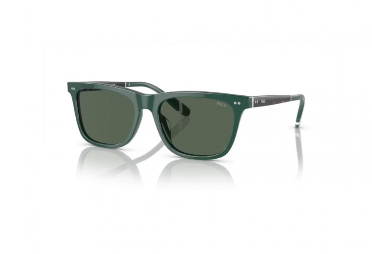 Sunglasses Polo Ralph Lauren PH 4205U