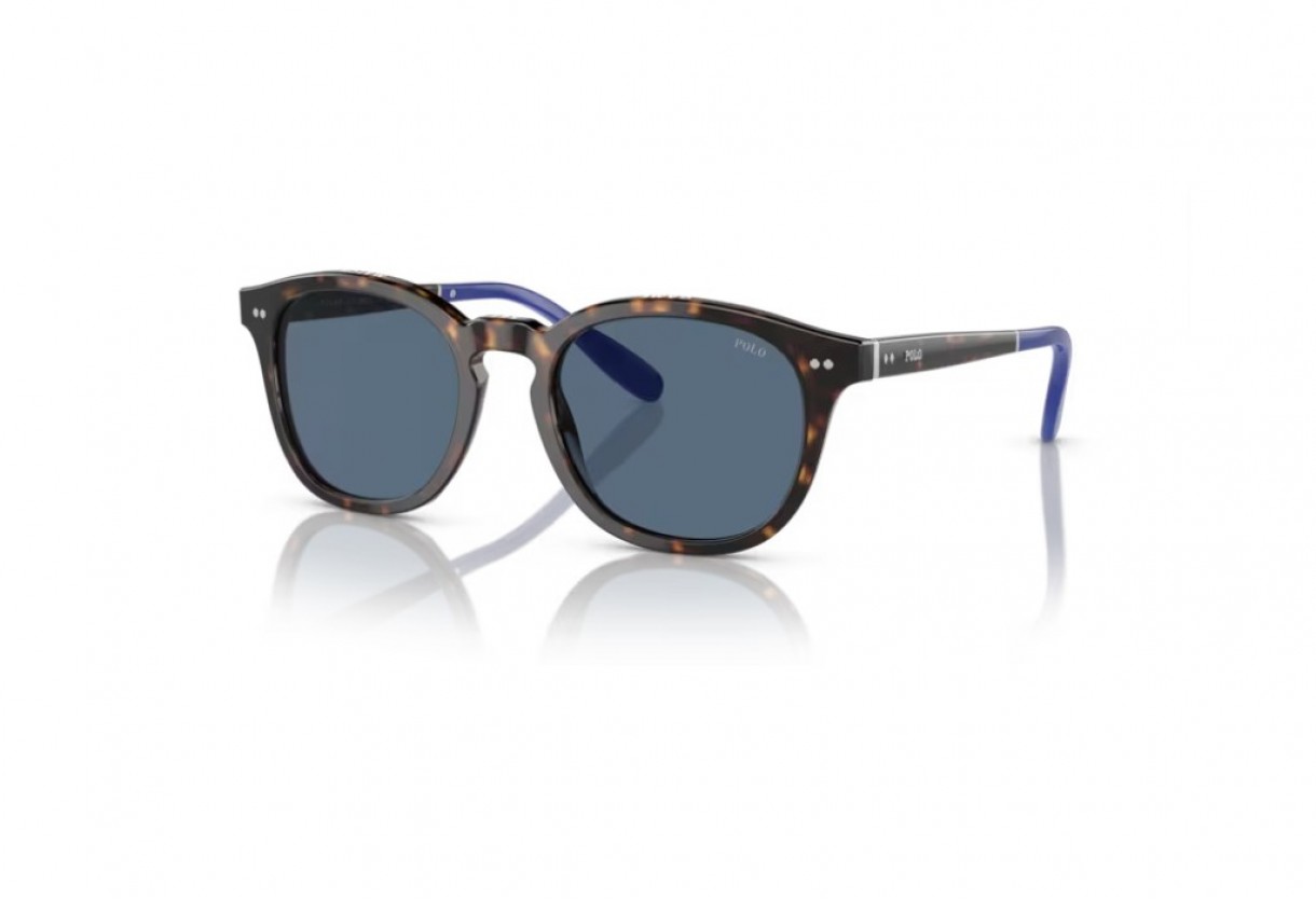 Sunglasses Polo Ralph Lauren PH 4206