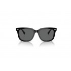 Sunglasses Polo Ralph Lauren PH 4210