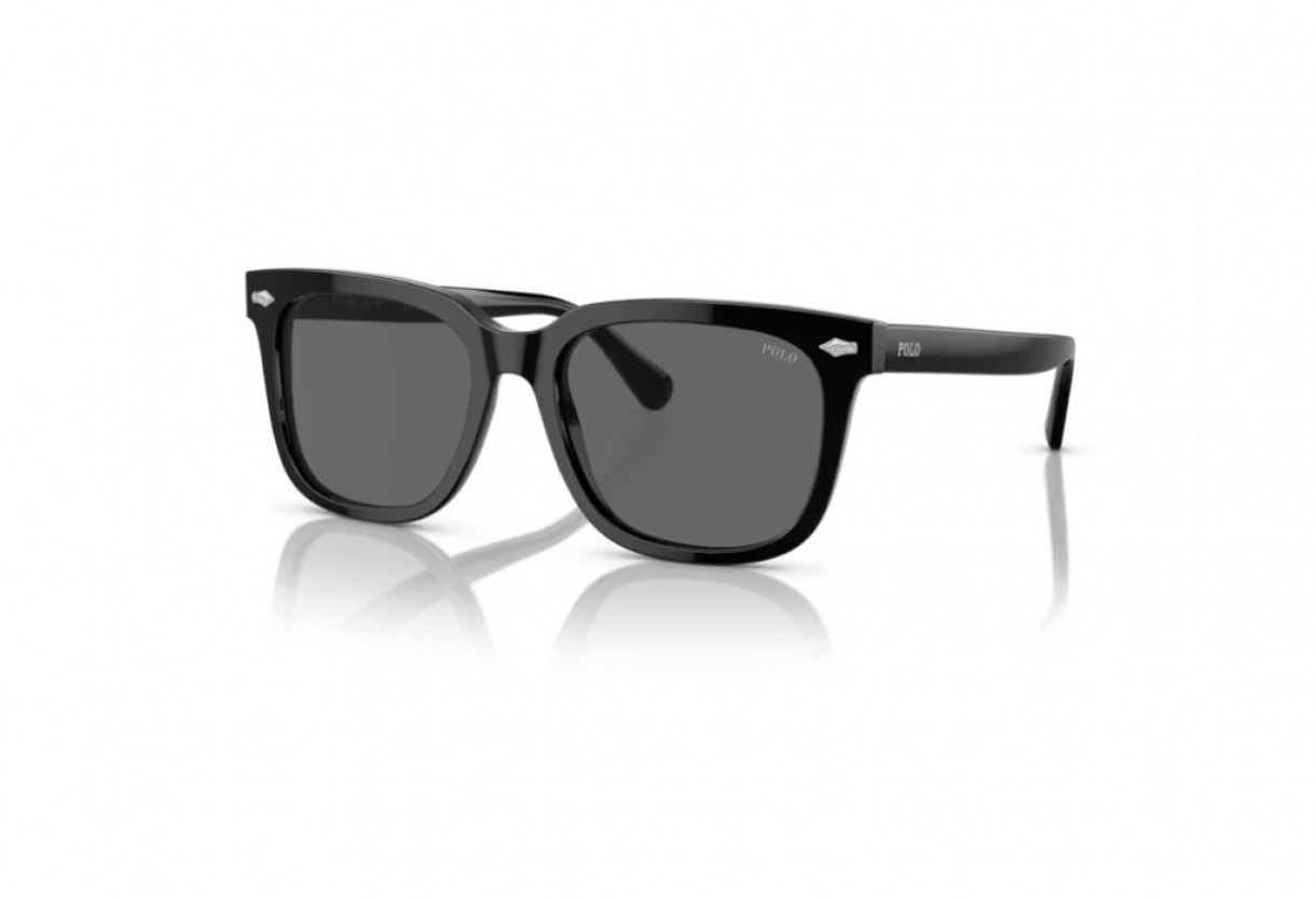 Sunglasses Polo Ralph Lauren PH 4210