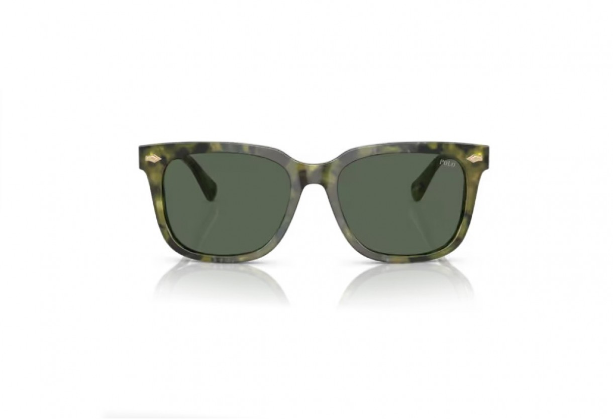 Sunglasses Polo Ralph Lauren PH 4210