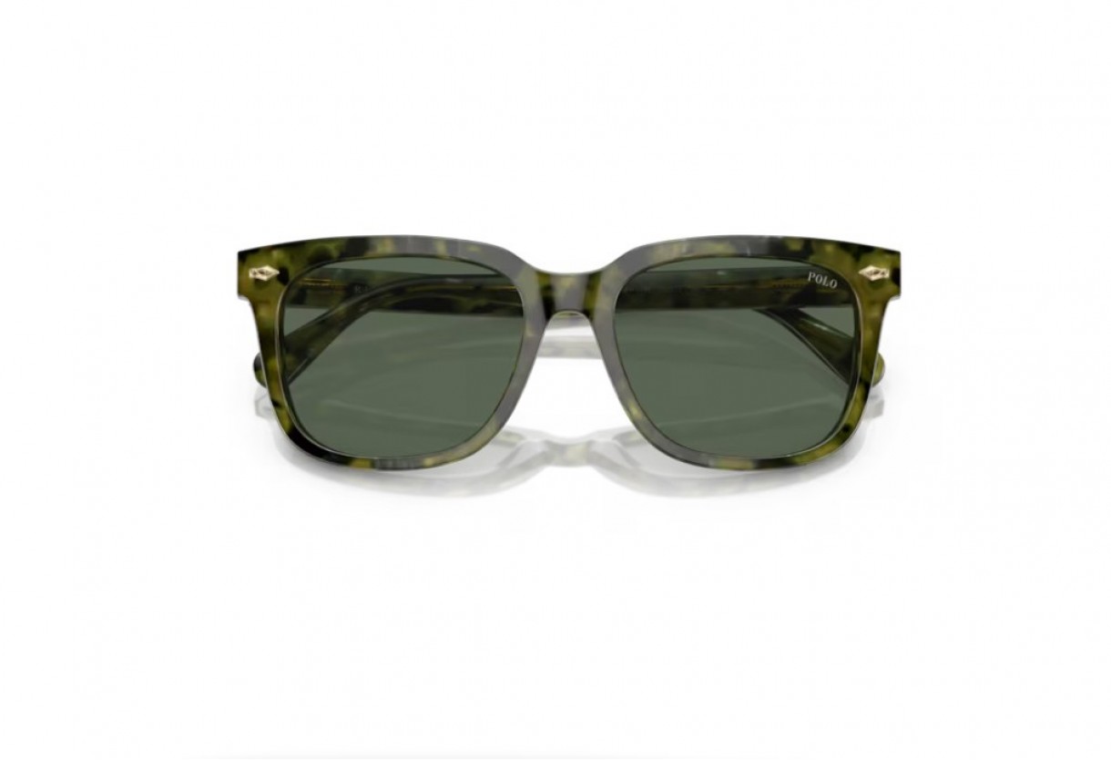 Sunglasses Polo Ralph Lauren PH 4210