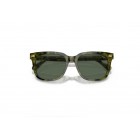 Sunglasses Polo Ralph Lauren PH 4210