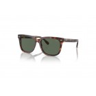 Sunglasses Polo Ralph Lauren PH 4210