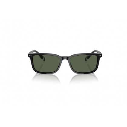 Γυαλιά ηλίου Polo Ralph Lauren PH 4212 Polarized