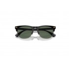 Sunglasses Polo Ralph Lauren PH 4213