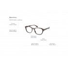 Eyeglasses Ralph RA 7172U