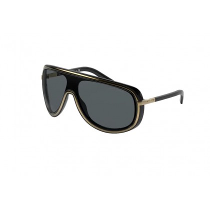  Sunglasses Ralph Lauren RL 7069