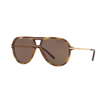 Sunglasses Ralph Lauren RL 8177