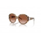 Sunglasses Ralph Lauren RL 8188Q