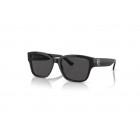 Sunglasses Ralph Lauren RL 8205