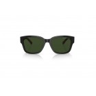 Sunglasses Ralph Lauren RL 8205