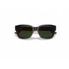 Sunglasses Ralph Lauren RL 8205