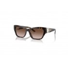 Sunglasses Ralph Lauren RL 8206U