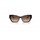 Sunglasses Ralph Lauren RL 8206U