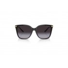 Sunglasses Ralph Lauren RL 8209 The Jacquie