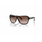 Γυαλιά ηλίου Ralph Lauren RL 8114U The Dillion