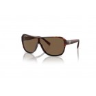 Sunglasses Ralph Lauren RL 8114U The Dillion