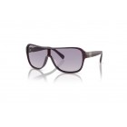 Sunglasses Ralph Lauren RL 8114U The Dillion