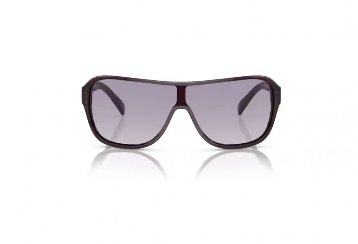 Sunglasses Ralph Lauren RL 8114U The Dillion