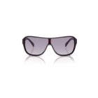 Sunglasses Ralph Lauren RL 8114U The Dillion