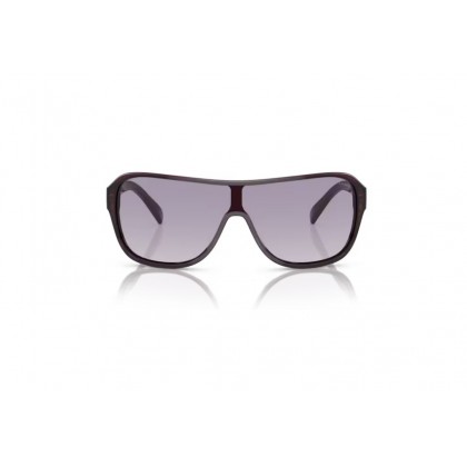  Sunglasses Ralph Lauren RL 8114U The Dillion