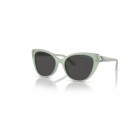 Sunglasses Ralph Lauren RL 8115BU