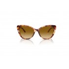 Sunglasses Ralph Lauren RL 8115BU