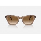 Γυαλιά ηλίου Ray Ban RB 0707S