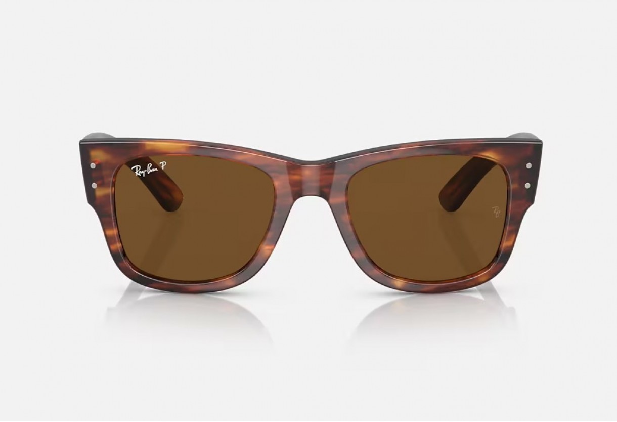 Sunglasses Ray Ban RB 0840S Mega Wayfarer Polarized