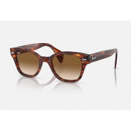 Sunglasses Ray Ban RB 0880S Polarized