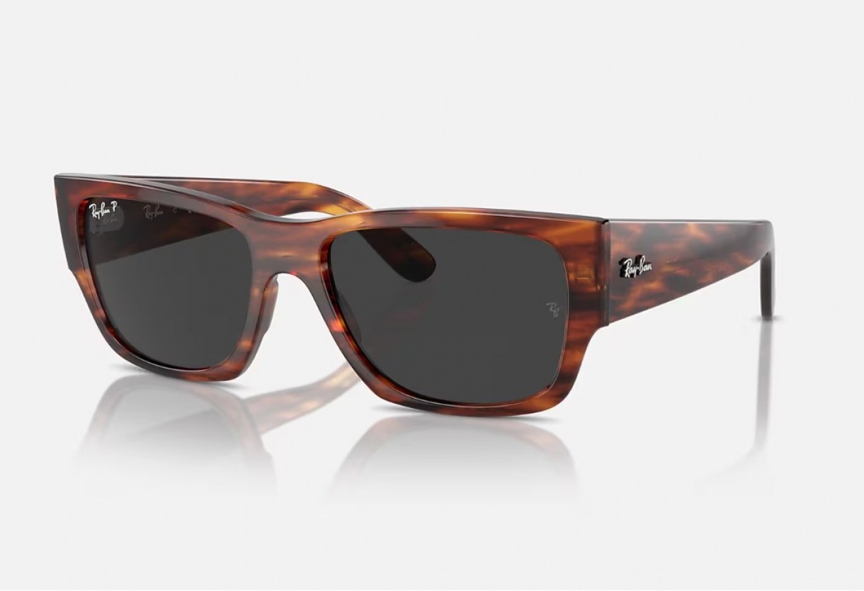 Γυαλιά ηλίου Ray Ban RB 0947S  Carlos Polarized