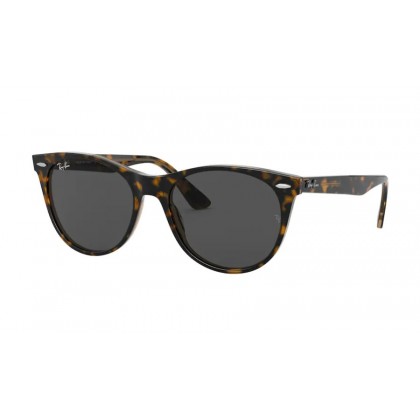 Γυαλιά ηλίου Ray Ban RB 2185