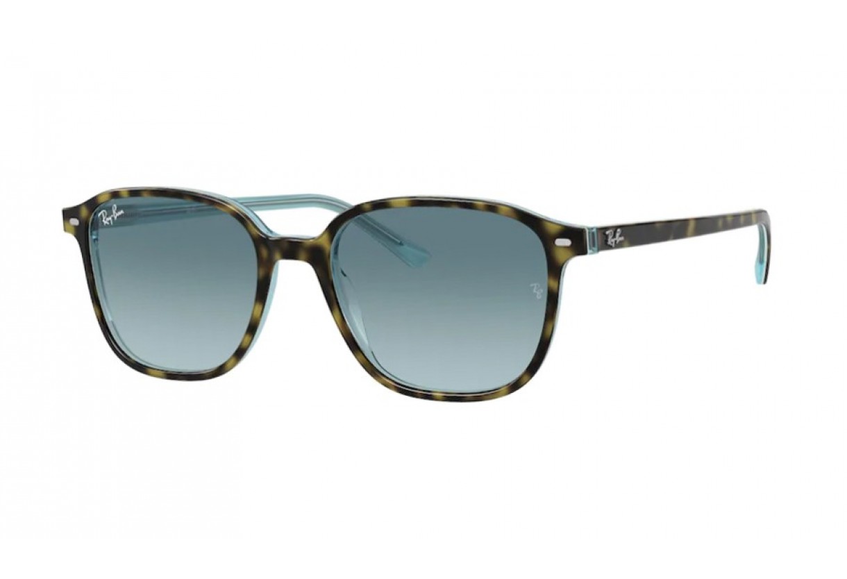 Sunglasses Ray Ban RB 2193 Leonard