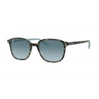 Sunglasses Ray Ban RB 2193 Leonard