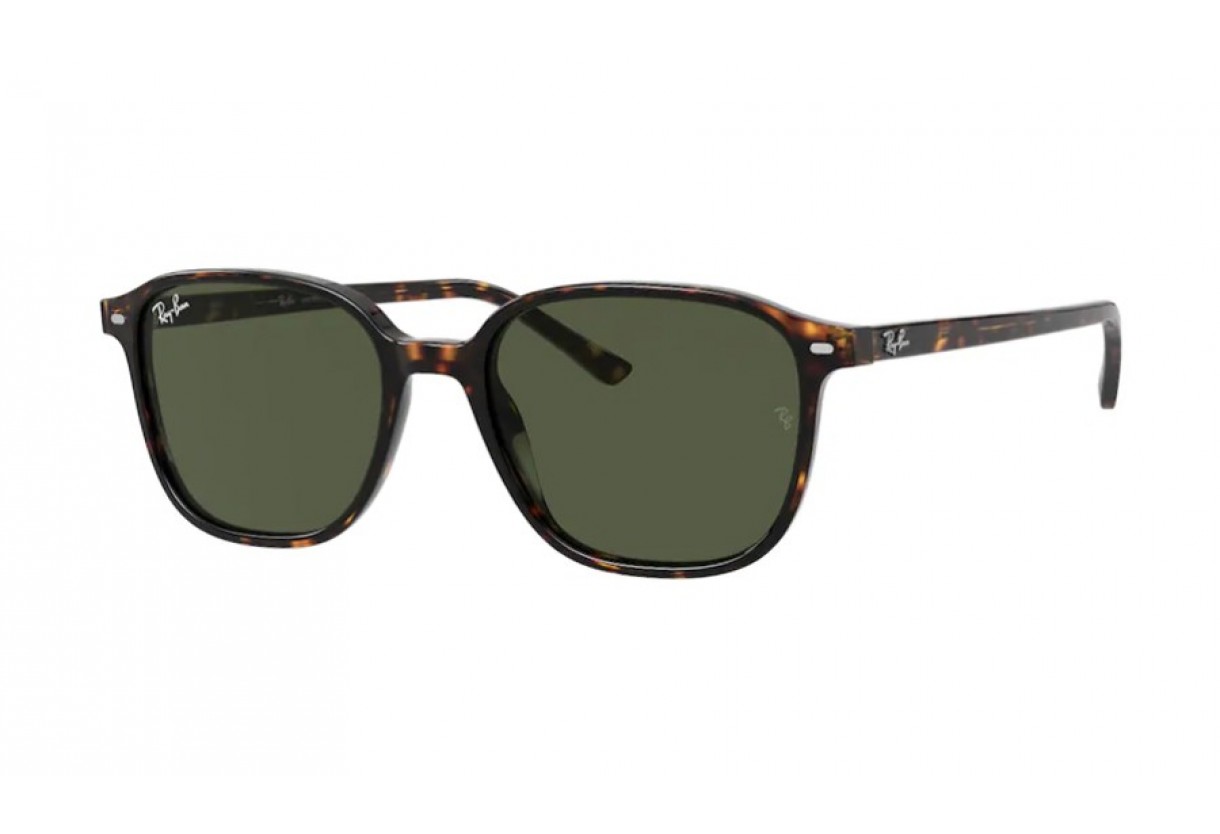 Sunglasses Ray Ban RB 2193 Leonard