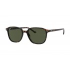 Sunglasses Ray Ban RB 2193 Leonard