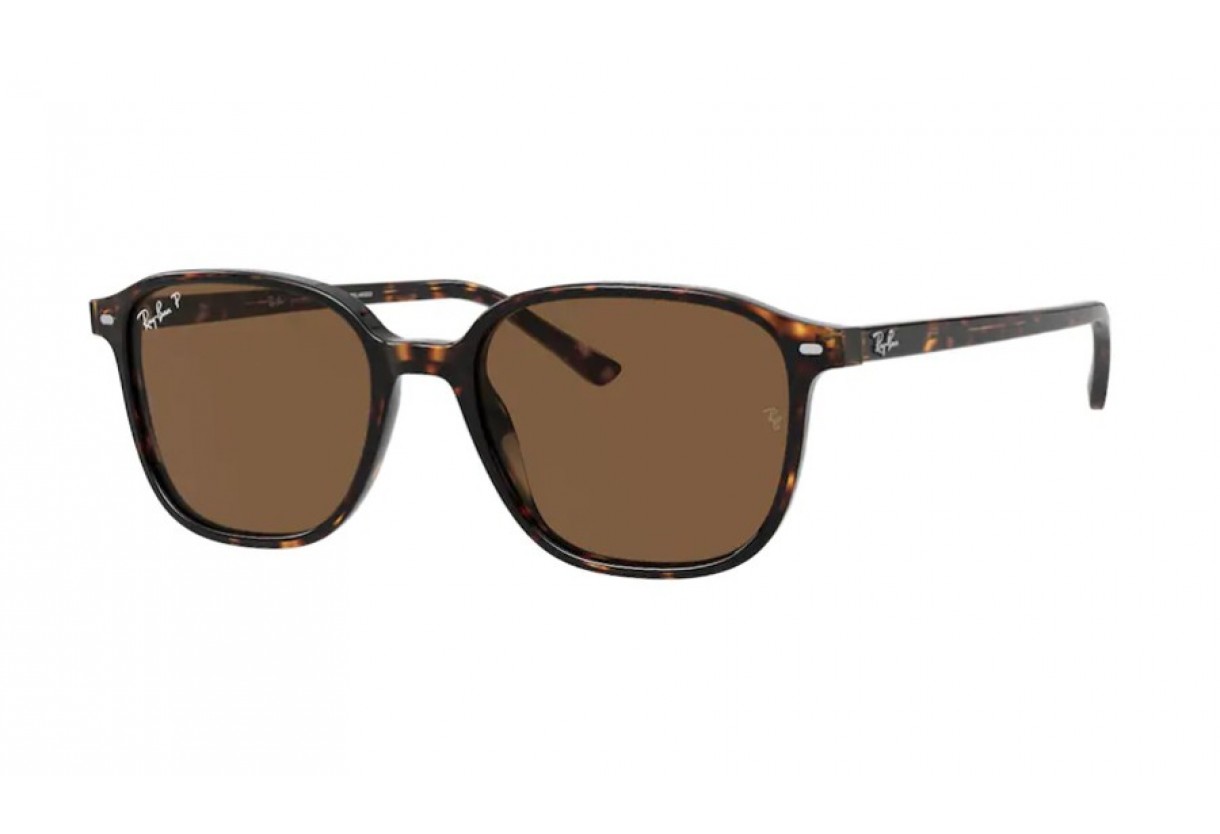 Sunglasses Ray Ban RB 2193 Leonard Polarized